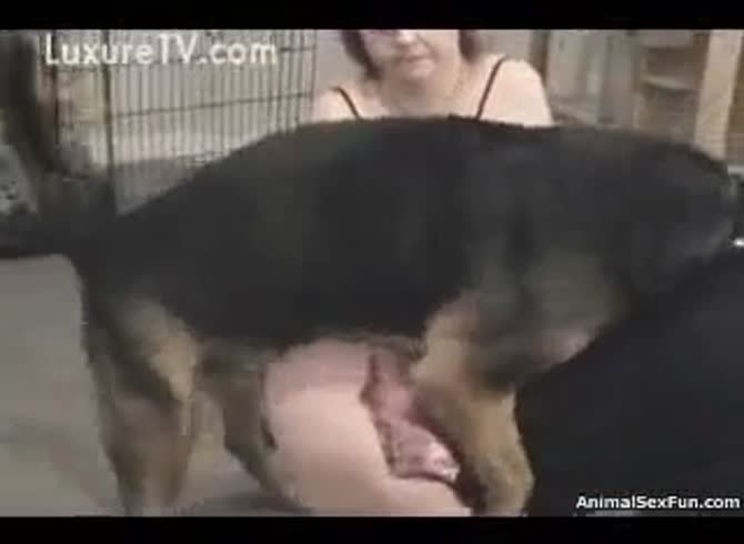 Who dogs women fuck their Two dogs